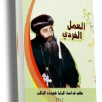 العمل الفردي